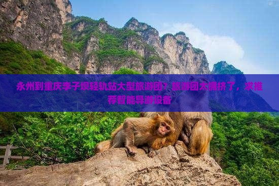 永州到重庆李子坝轻轨站大型旅游团？旅游团太拥挤了，求推荐智能导游设备
