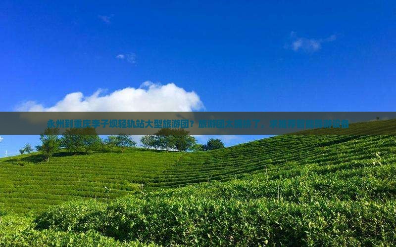永州到重庆李子坝轻轨站大型旅游团？旅游团太拥挤了，求推荐智能导游设备