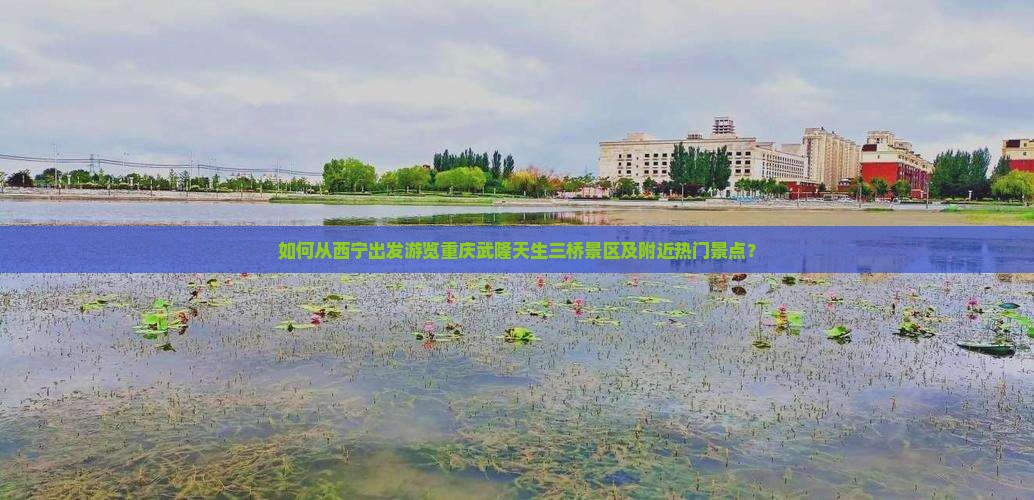 如何从西宁出发游览重庆武隆天生三桥景区及附近热门景点？