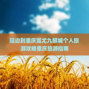 延边到重庆蚩尤九黎城个人旅游攻略重庆旅游指南