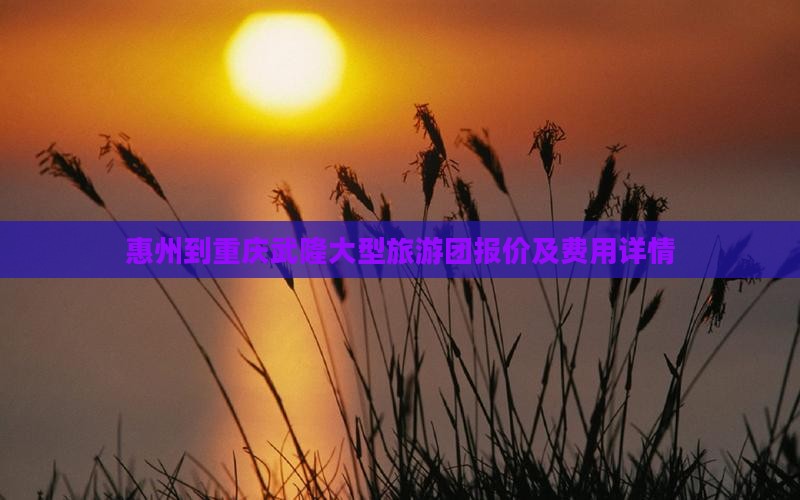 惠州到重庆武隆大型旅游团报价及费用详情