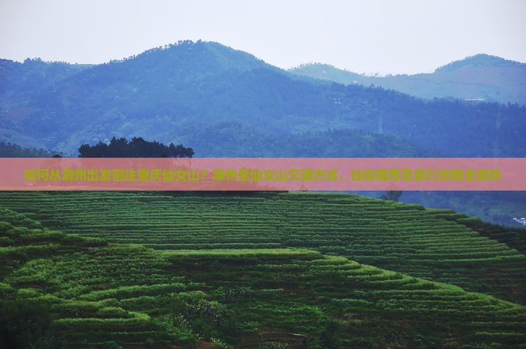 如何从滁州出发前往重庆仙女山？滁州至仙女山交通方式、住宿推荐及旅行攻略全解析
