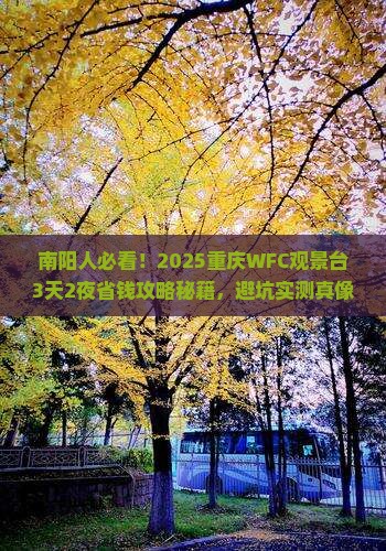 南阳到重庆wfc观景台旅行社