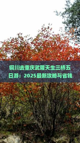 铜川去重庆武隆天生三桥五日游