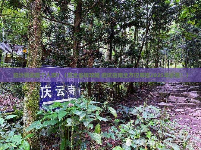 临汾去重庆武隆个人游