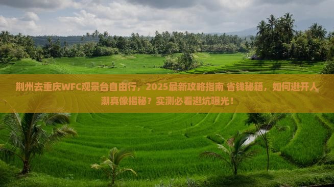 荆州去重庆wfc观景台自由行 荆州去重庆wfc观景台自由行