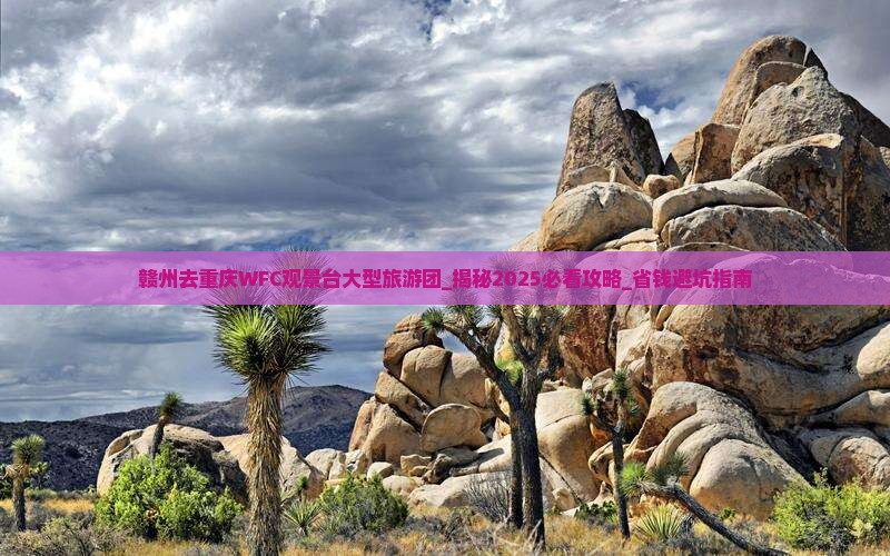 赣州去重庆wfc观景台大型旅游团