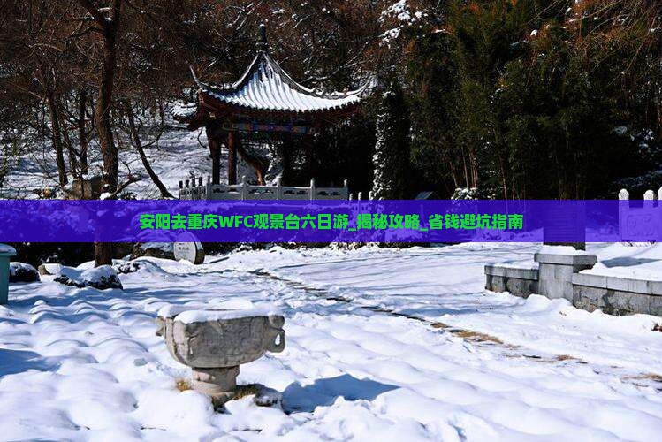 安阳去重庆wfc观景台六日游