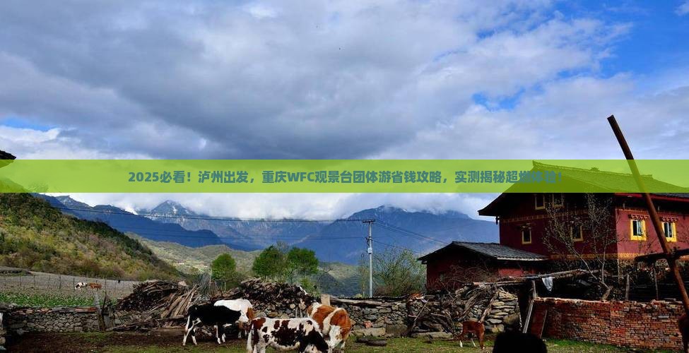 泸州去重庆wfc观景台团体旅游