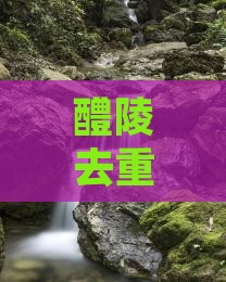 醴陵去重庆李子坝轻轨站团体旅游