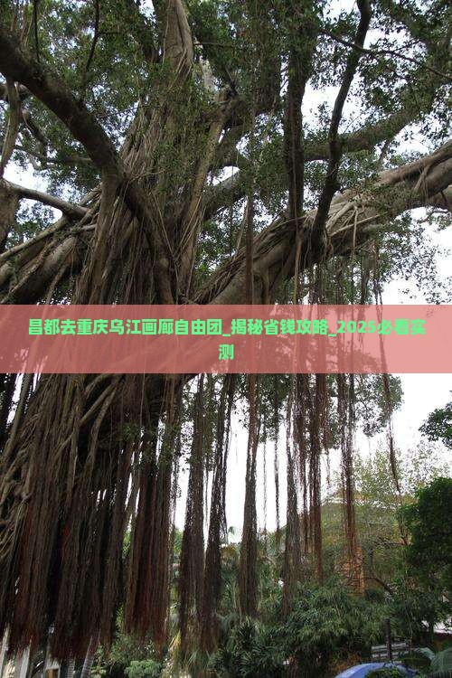 昌都去重庆乌江画廊自由团