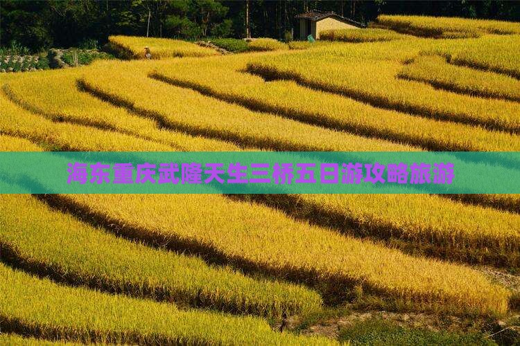 海东去重庆武隆天生三桥五日游