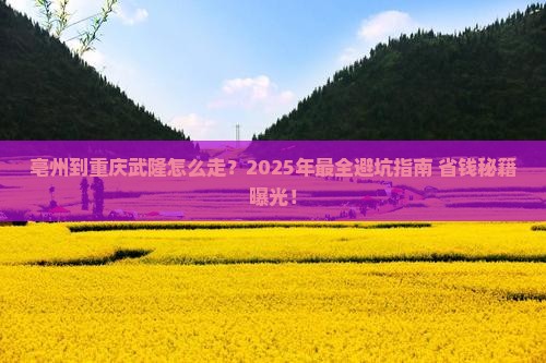 亳州到重庆武隆攻略