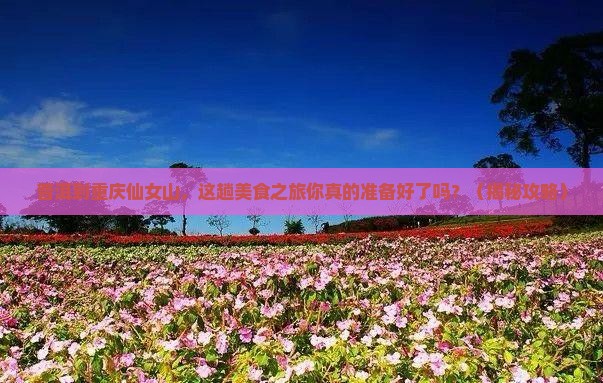 普洱到重庆仙女山旅游小吃