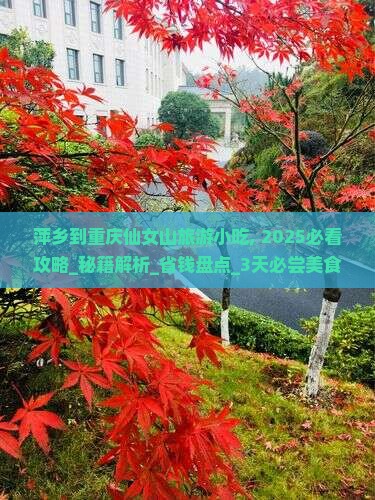 萍乡到重庆仙女山旅游小吃
