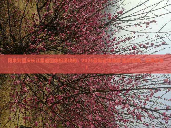 阳泉到重庆长江索道团体旅游