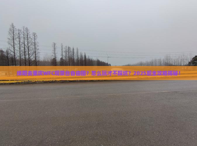 绵阳去重庆wfc观景台自由团