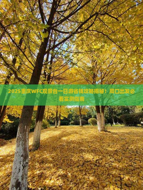 周口到重庆wfc观景台一日