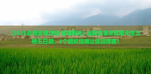 汕尾去重庆武隆天生三桥五日游