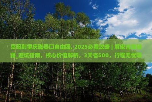 岳阳到重庆磁器口自由团