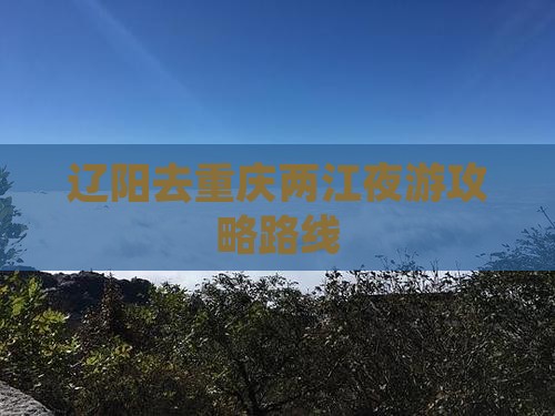 辽阳去重庆两江夜游攻略