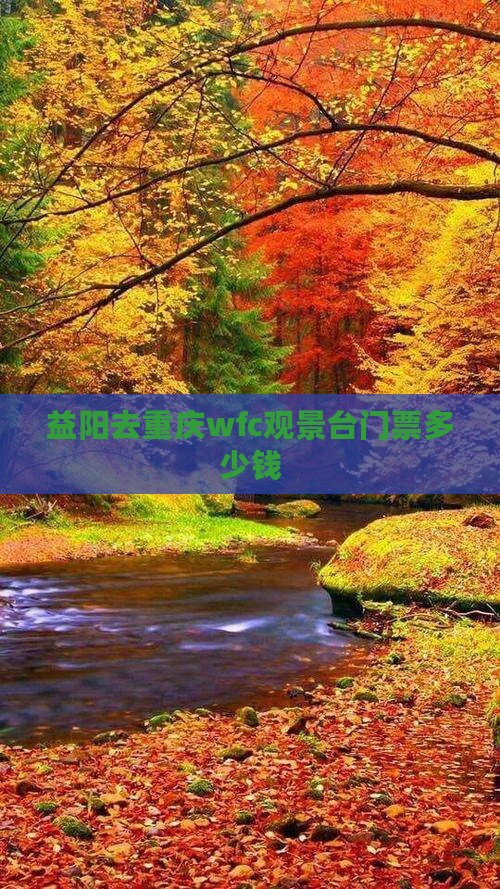 益阳去重庆wfc观景台门票