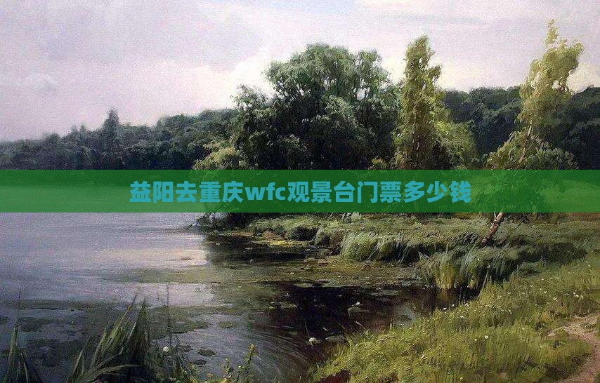 益阳去重庆wfc观景台门票