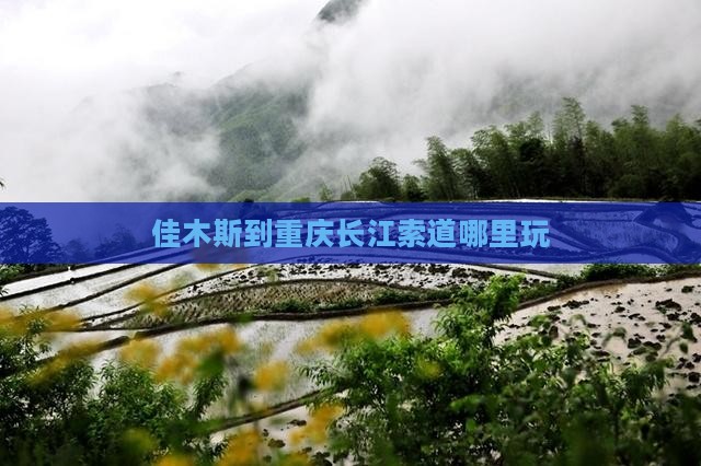 佳木斯到重庆长江索道哪里玩