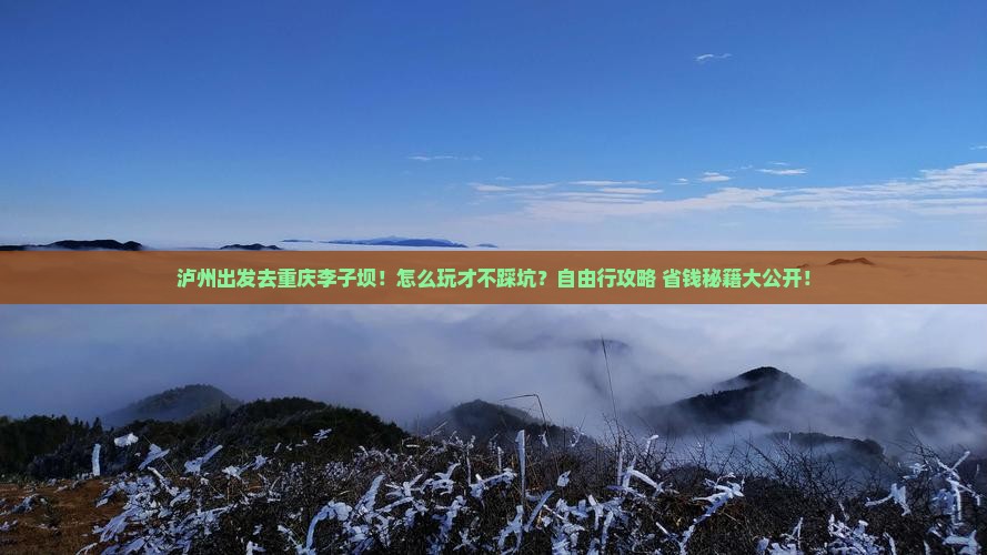 泸州到重庆李子坝轻轨站自由行