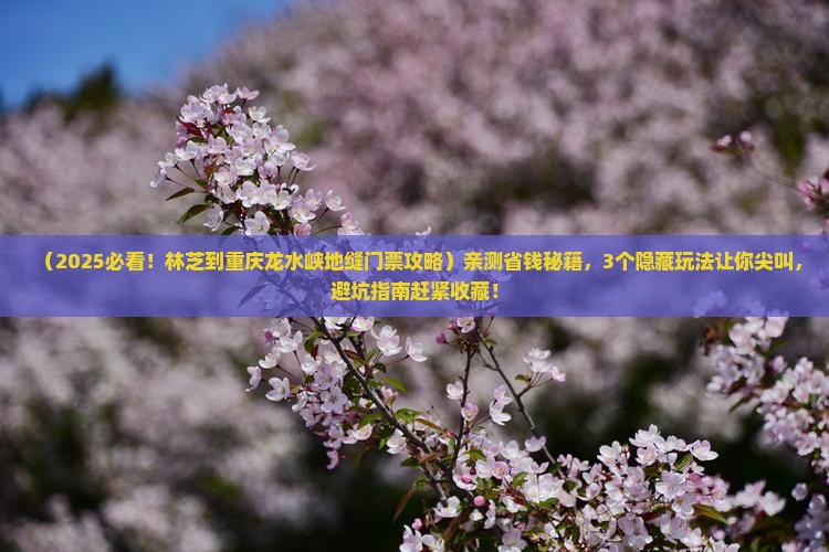 林芝到重庆龙水峡地缝门票