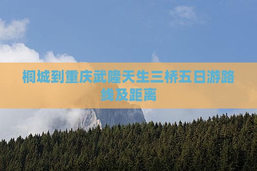 桐城到重庆武隆天生三桥五日游