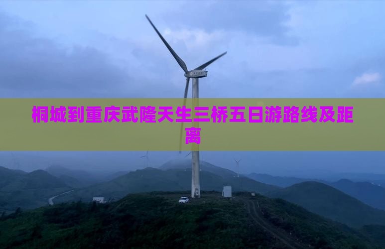 桐城到重庆武隆天生三桥五日游