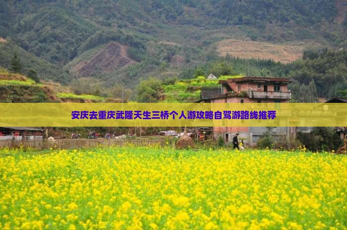 安庆去重庆武隆天生三桥个人游