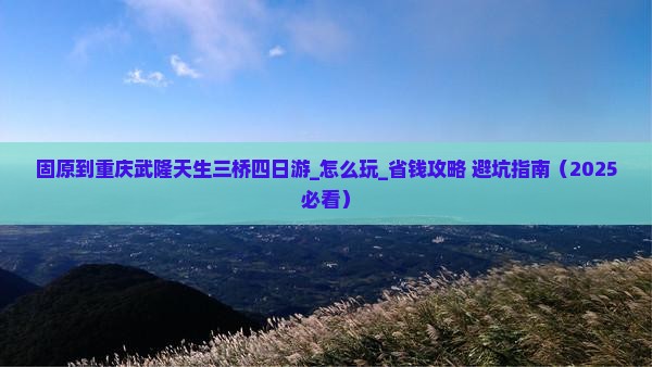 固原到重庆武隆天生三桥四日游