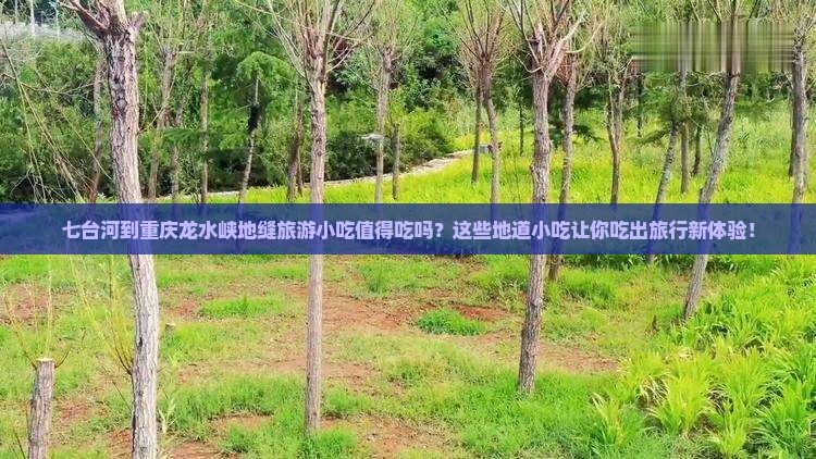 七台河到重庆龙水峡地缝旅游小吃