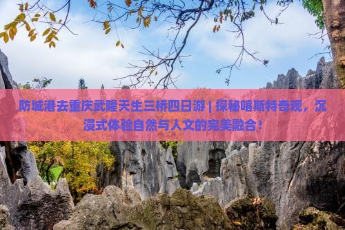 防城港去重庆武隆天生三桥四日游