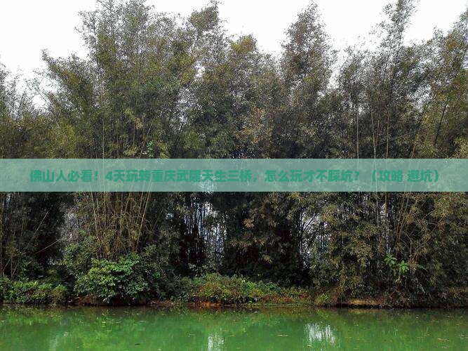 佛山去重庆武隆天生三桥四日游