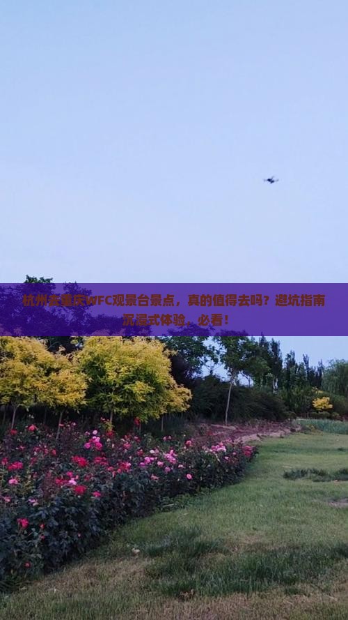 杭州去重庆wfc观景台景点