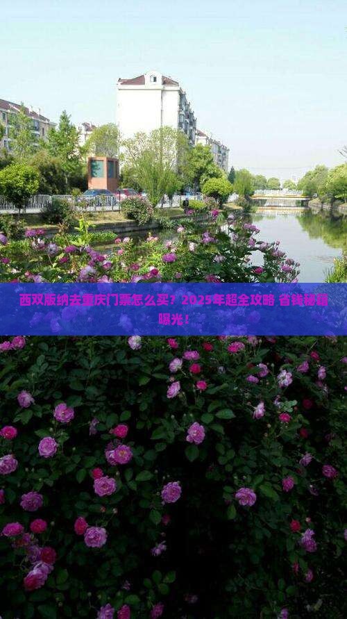 西双版纳去重庆门票
