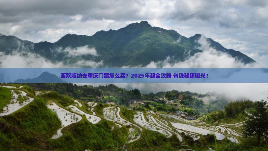 西双版纳去重庆门票