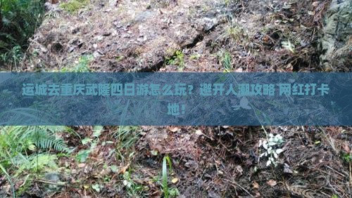 运城去重庆武隆四日游