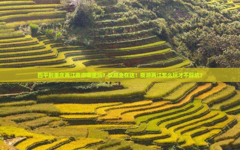 四平到重庆两江夜游哪里玩