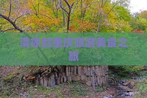 清徐到重庆旅游小吃