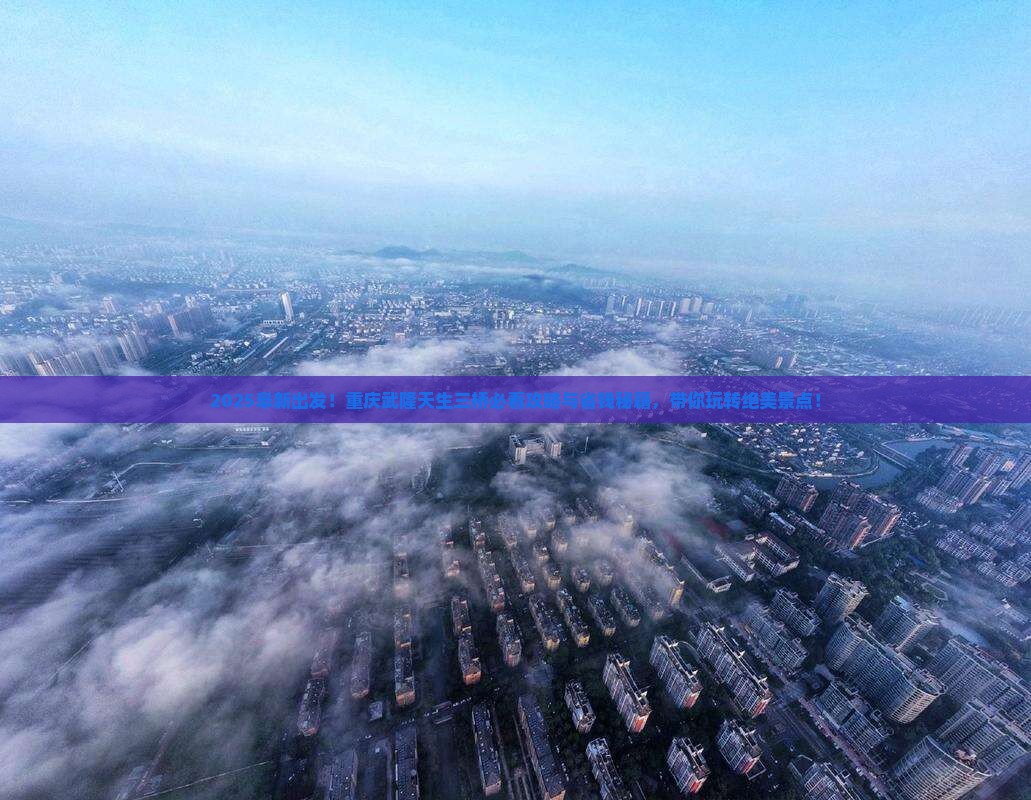 阜新到重庆武隆天生三桥景点