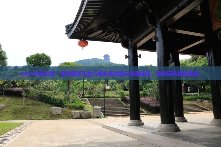 阜新到重庆武隆天生三桥景点