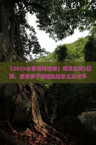 菏泽到重庆李子坝轻轨站三日游
