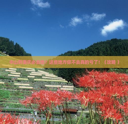 中山到重庆必去地