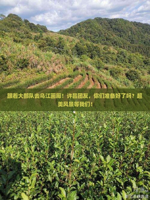 许昌去重庆乌江画廊大型旅游团 许昌去重庆乌江画廊大型旅游团
