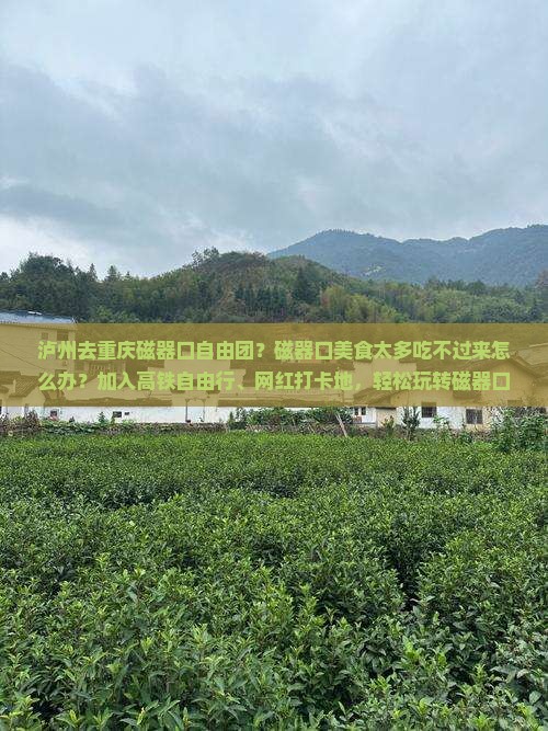 泸州去重庆磁器口自由团