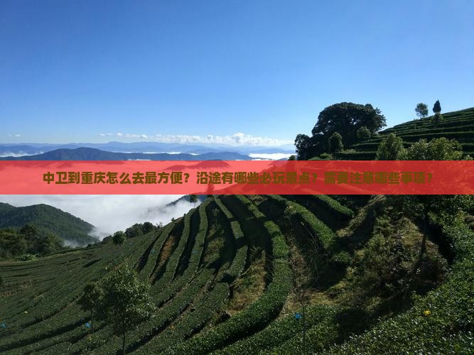 中卫到重庆攻略